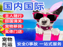 齐齐哈尔空运公司国际宠物托运 【国